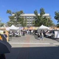 IMG_2493.jpeg